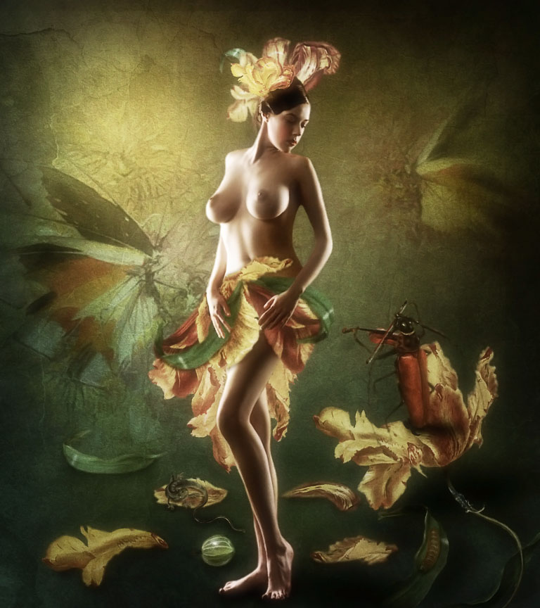 Serenade für Tulpen