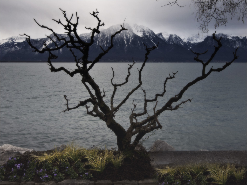 ...........................