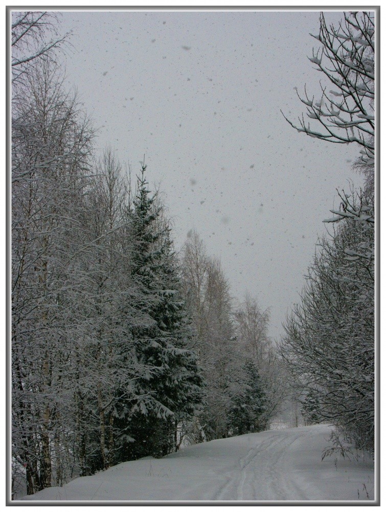 Der letzte Schneefall des Winters.
