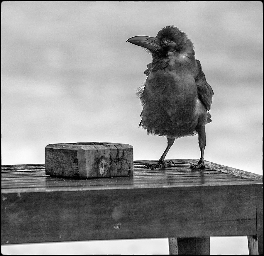 Und so, was wir gesagt