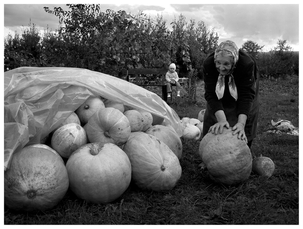 Kindheit, wo - wie geht es weiter ...