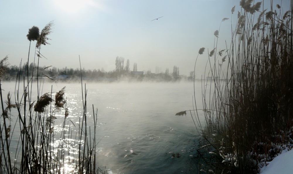 Eindampfen der Milch