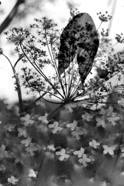 Tag gewaschen, wie steklo.Tolko nicht genug. (C)