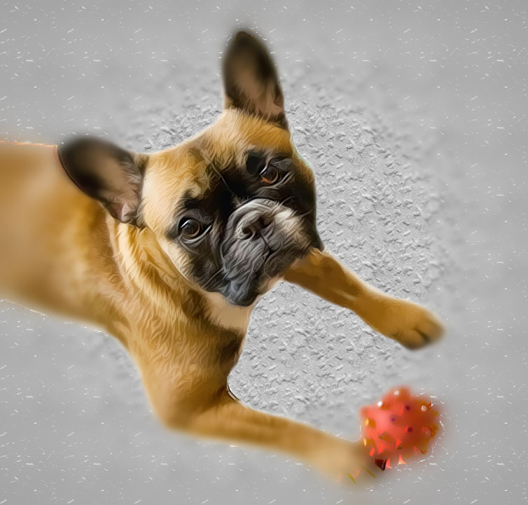 Bulldog und Photoshop