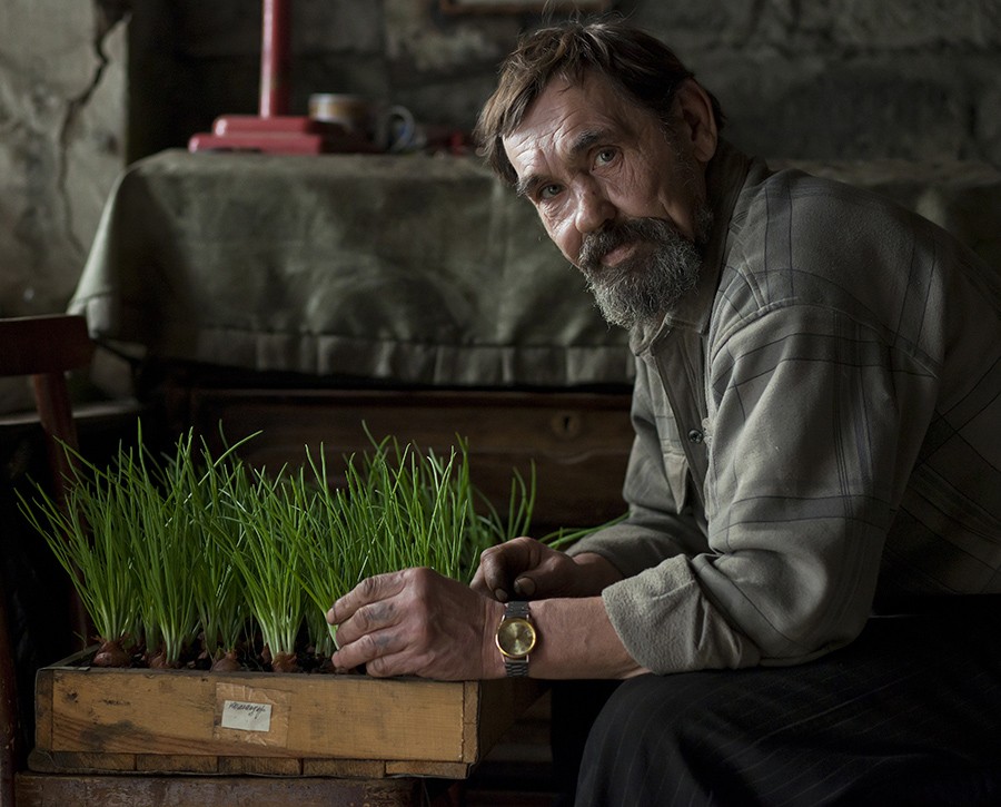 Portrait mit grünen Zwiebeln