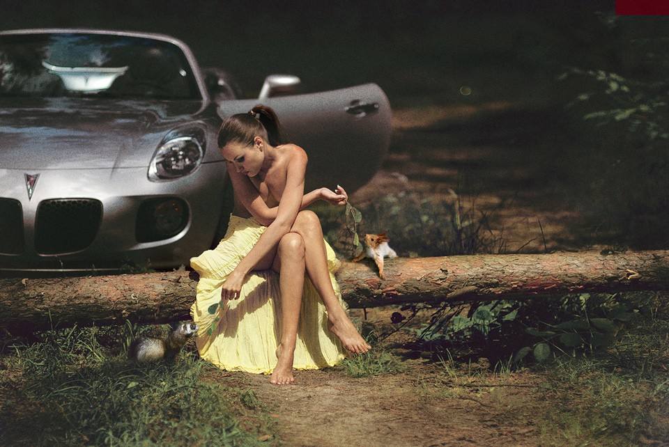 Forest-stories (milestone)