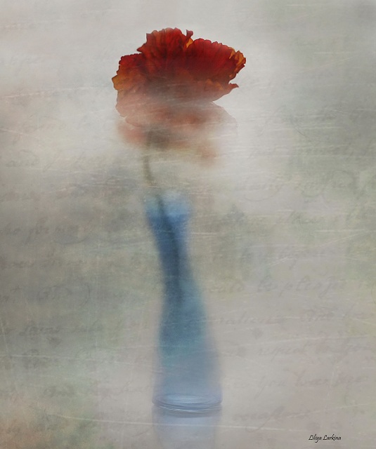 Mit Schnee bedeckt .... zavyuzhilo .... an dich gedacht ...