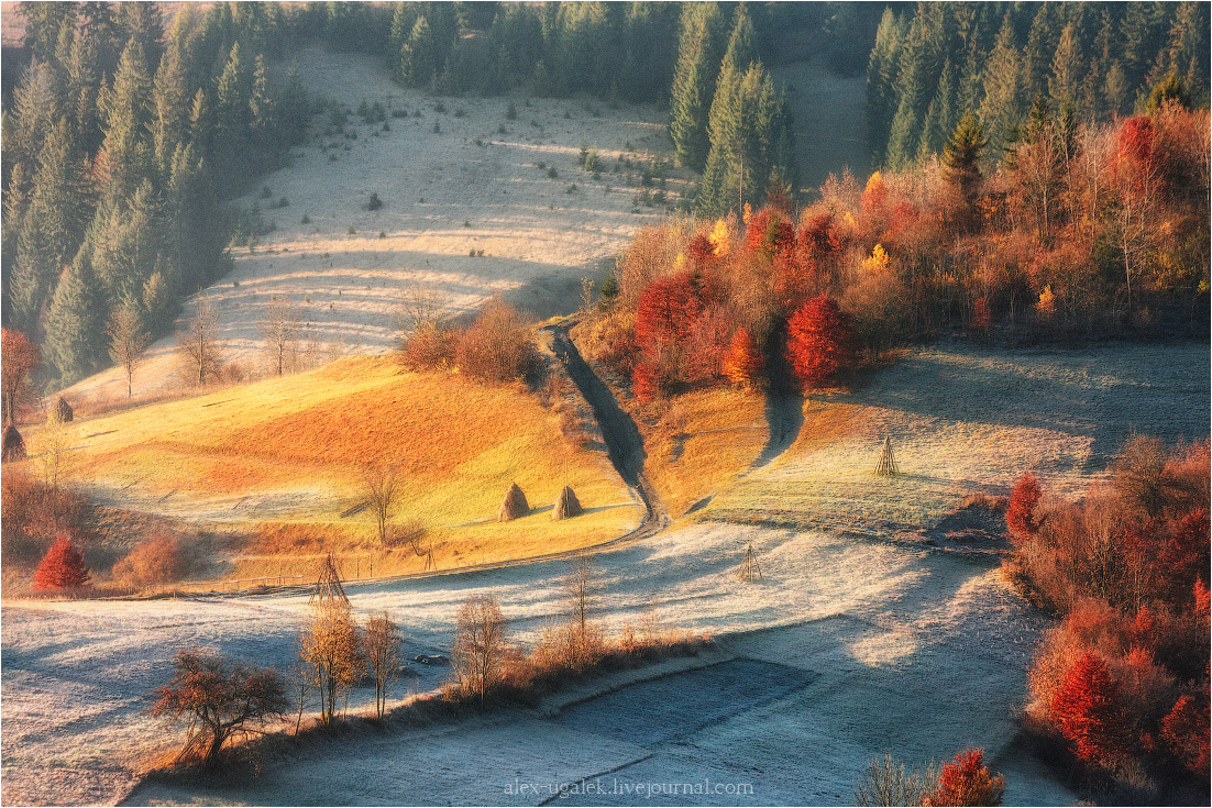 ...........Karpatskiy minimalizm...........