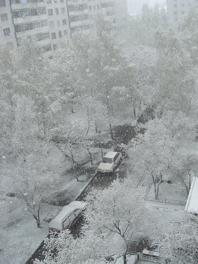 snegopad, vid sverhu