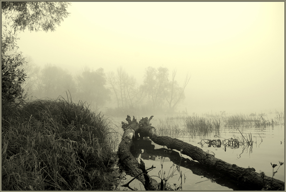 Na chertovyh bolotah