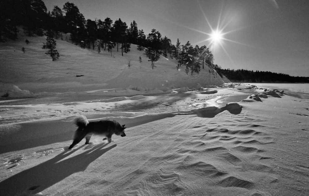 Staraja, staraja saga...