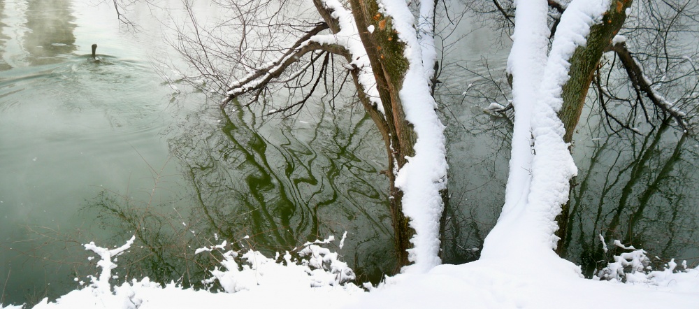 Otplytie s kiselnyh beregov