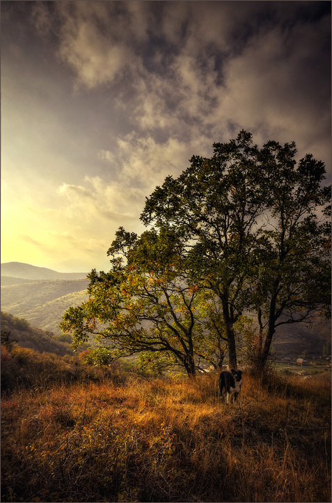 Dawn of einem Herbsttag