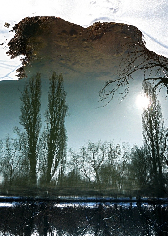 Landscape of the Looking-Glass