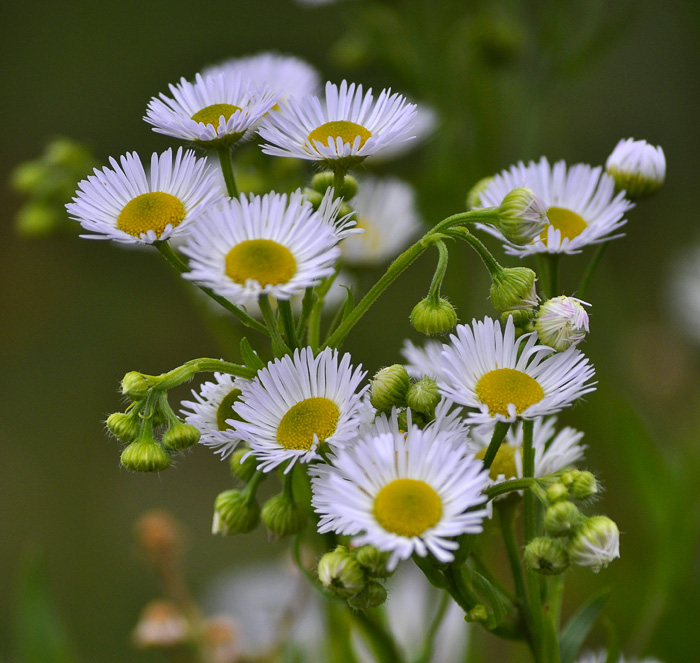 Herzlichen Glückwunsch!