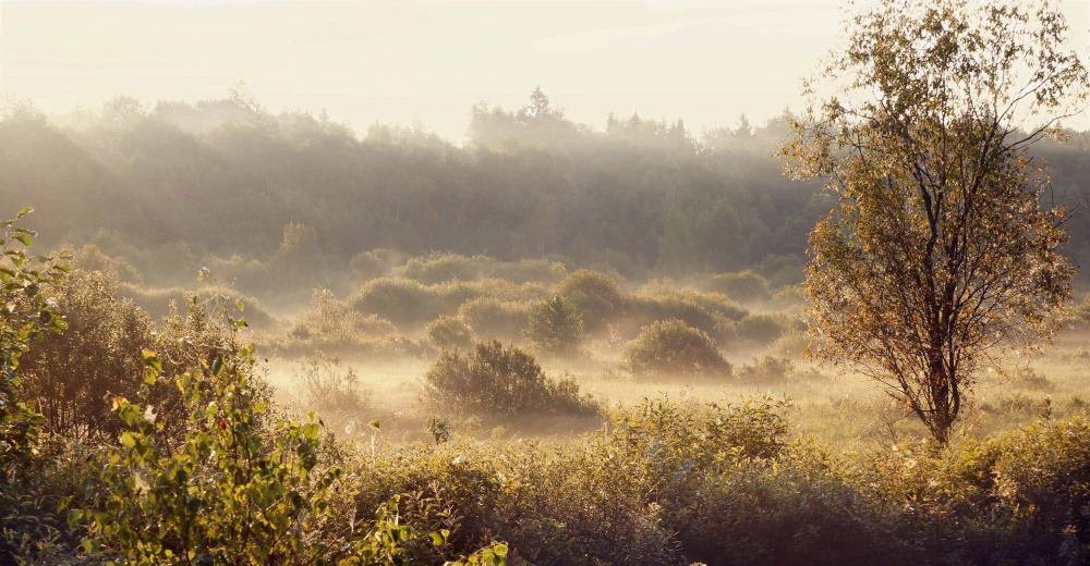 Eine sanfte Morgendämmerung.