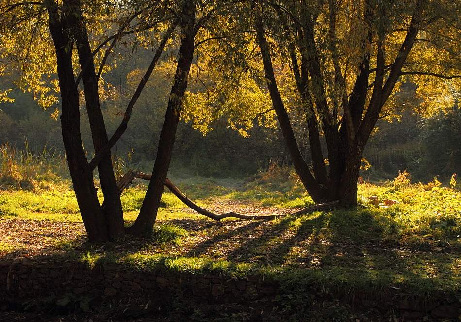 Erinnerungen an die Sonne