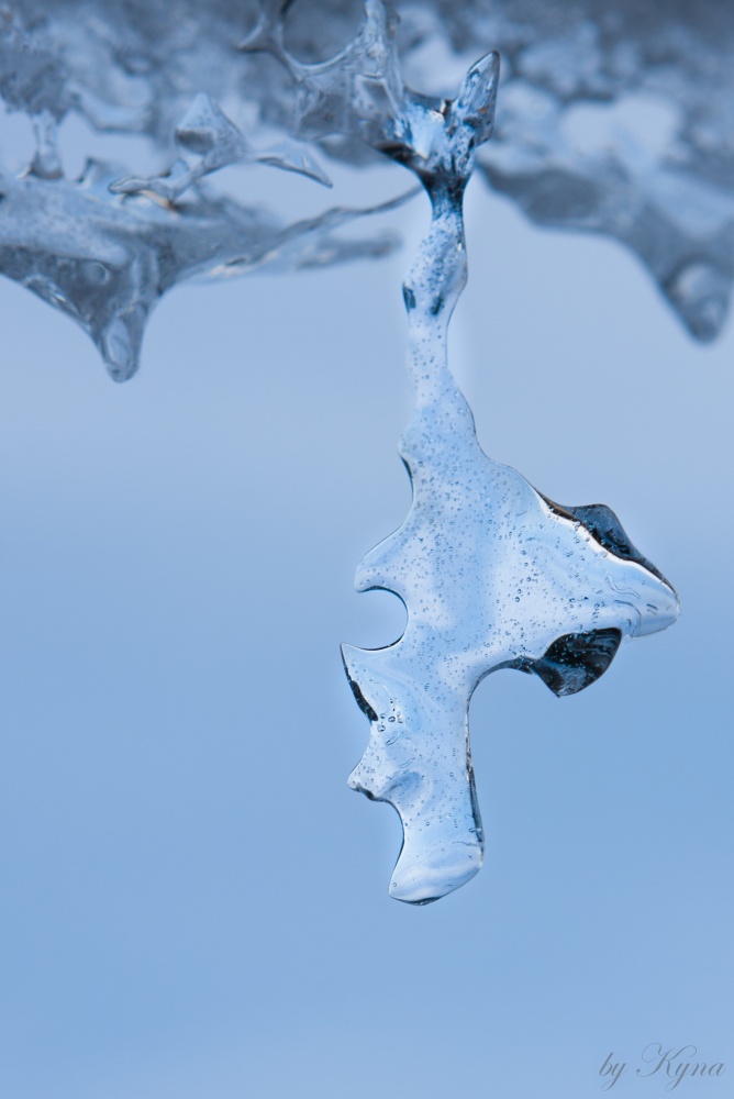 "Портрет" Весны...