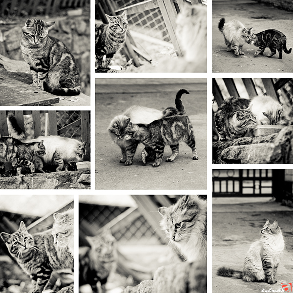 Die März-Geschichte