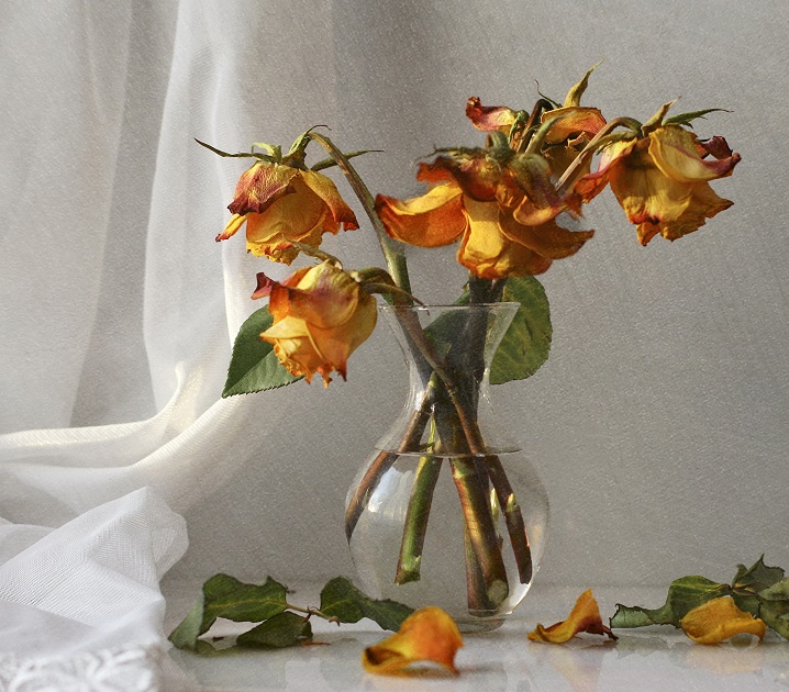 Er versprach, zurückzukehren