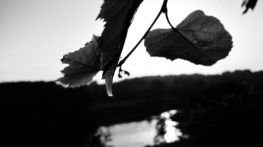 Black and White üblich ...