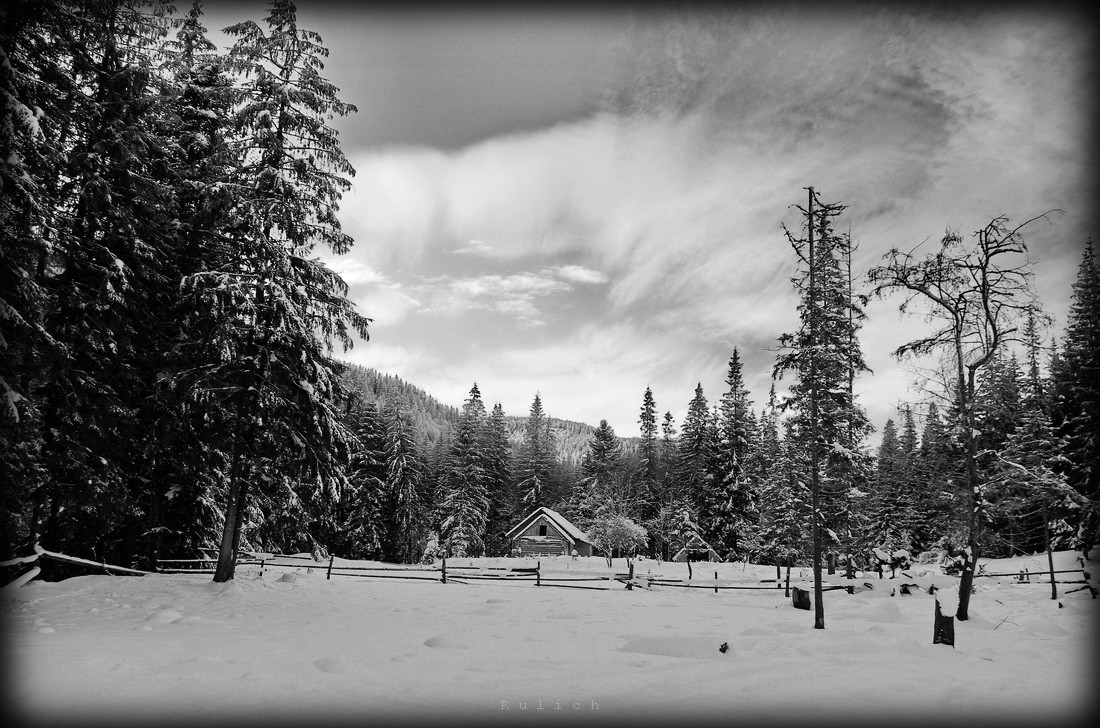 eine Vorahnung des Frühlings