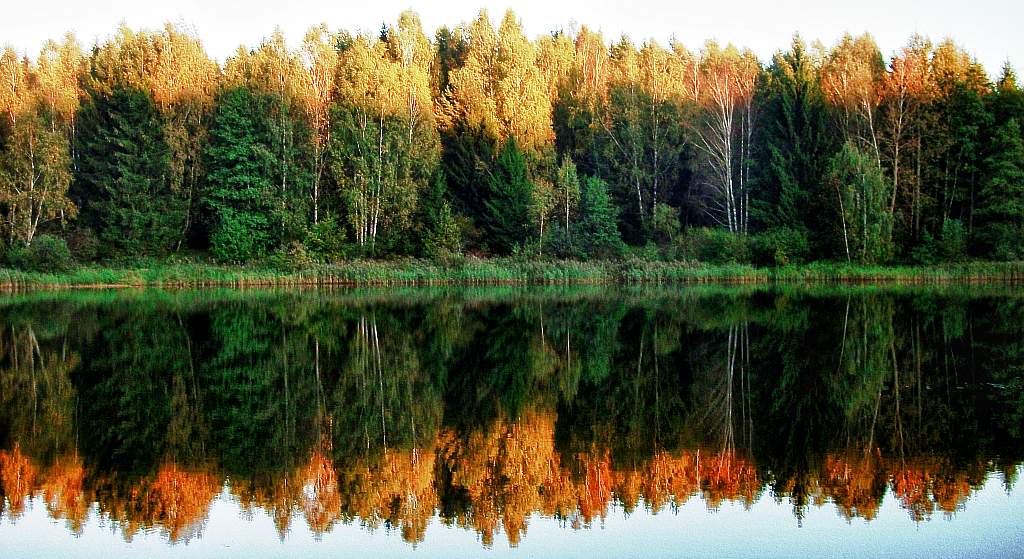 Reflexion des Falls ...