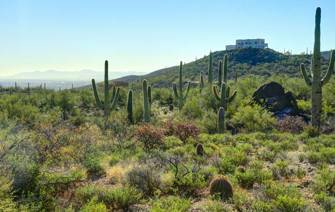 Wüste, März, Sonnenaufgang ...