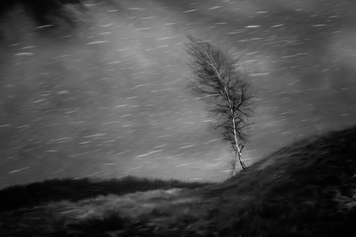 Der erste Schneesturm