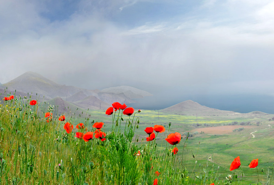 Frühlings-Erinnerungen