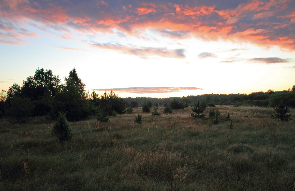 Warten auf den Sonnenaufgang