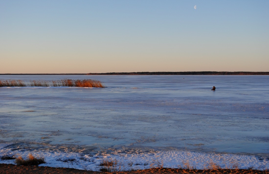 begeistert von der drei-