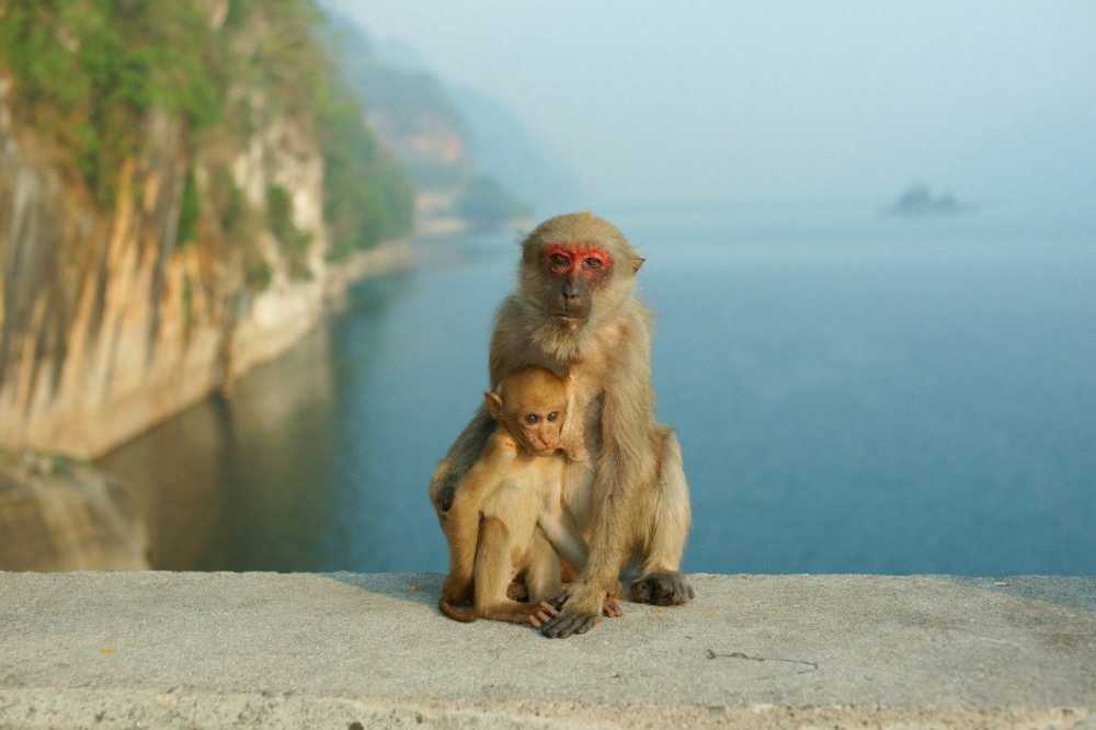 Eine kleine Familie ...