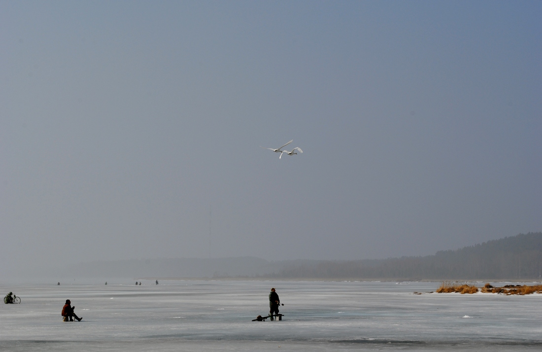 das Leben der Fischer