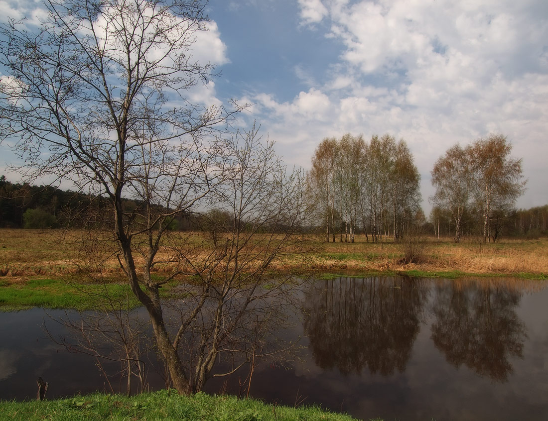 Wir sind für den Frühling warten ...