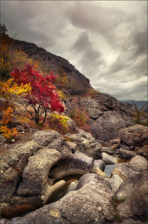 Gore ... Verflechtung