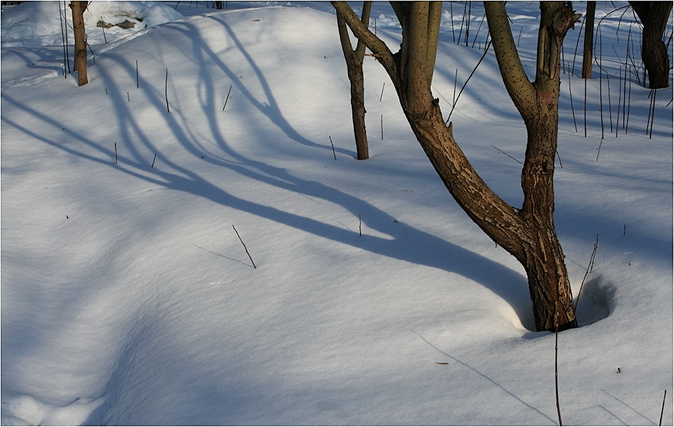 Fässer und THE SHADOW OF ...
