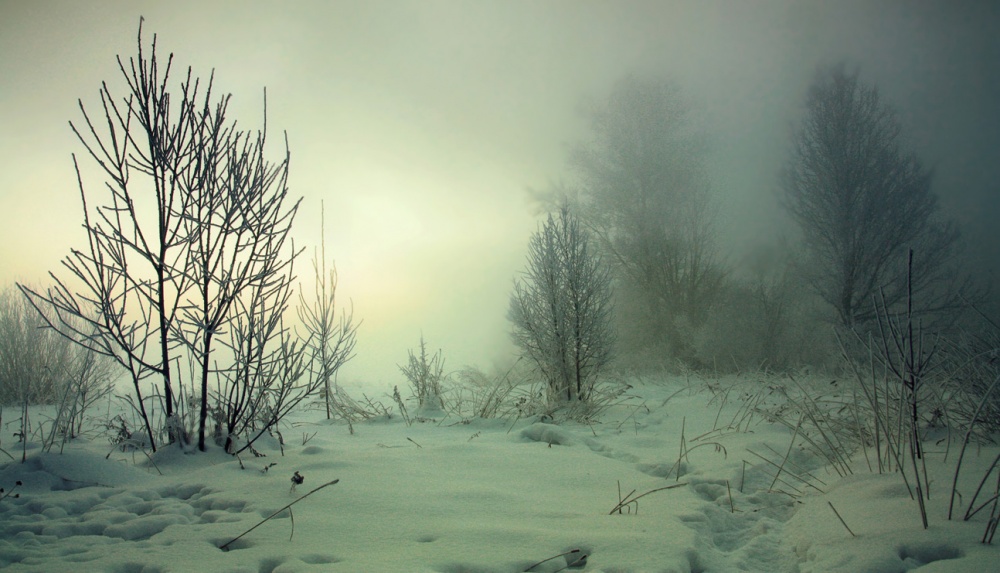 Der letzte Akkord des Winters