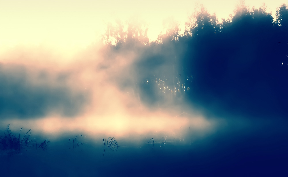 Der Nebel über dem Wasser