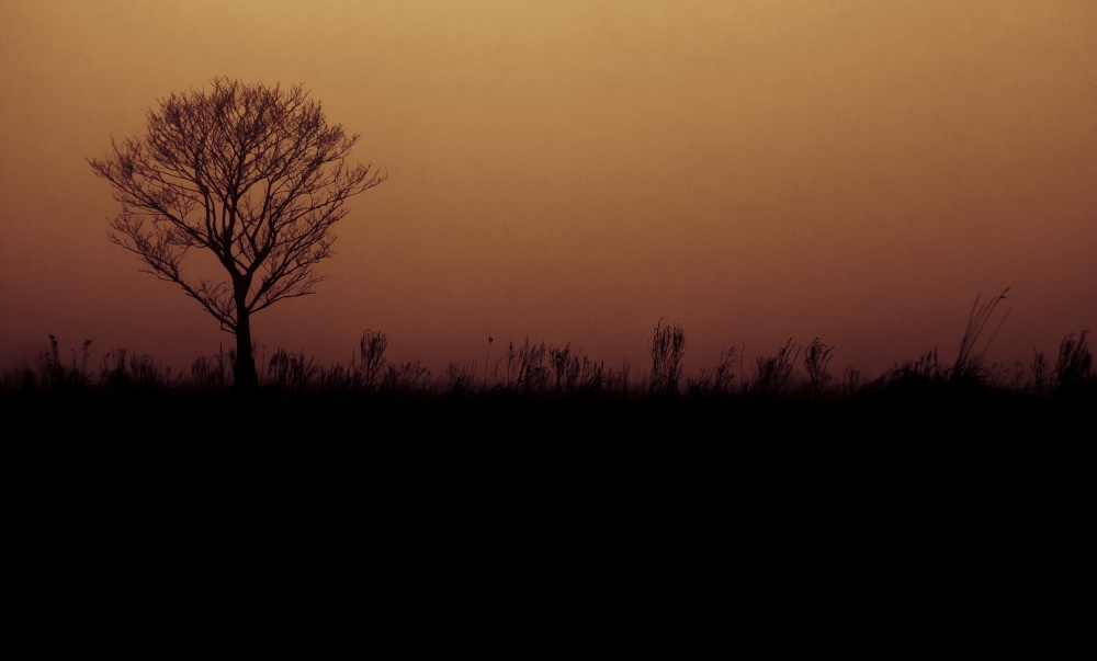 der Landstreicher des mongolischen Reitern