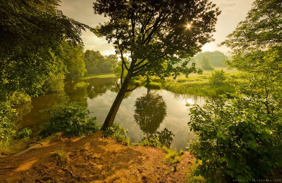 MORNING POSLETUMANNAYA