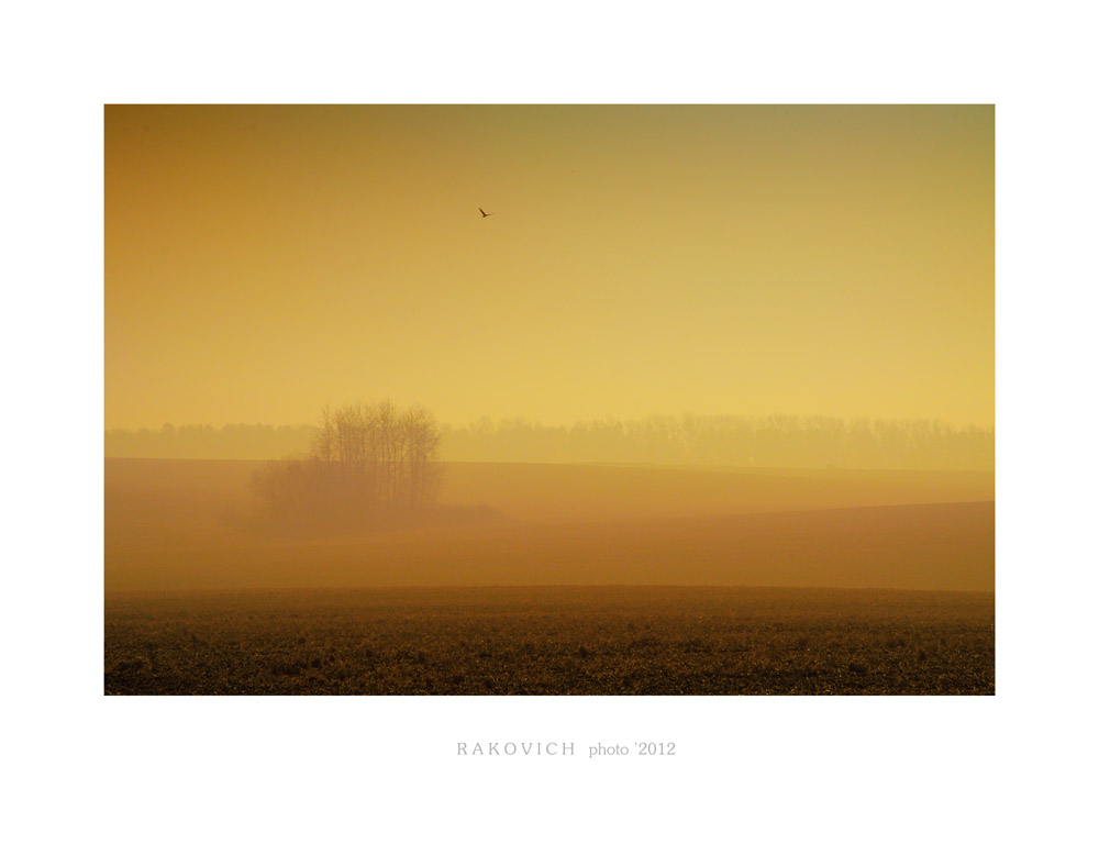 Der Orange Dunst ...