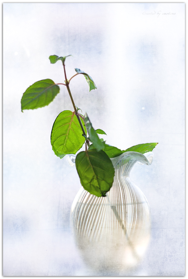 when the spring revives...