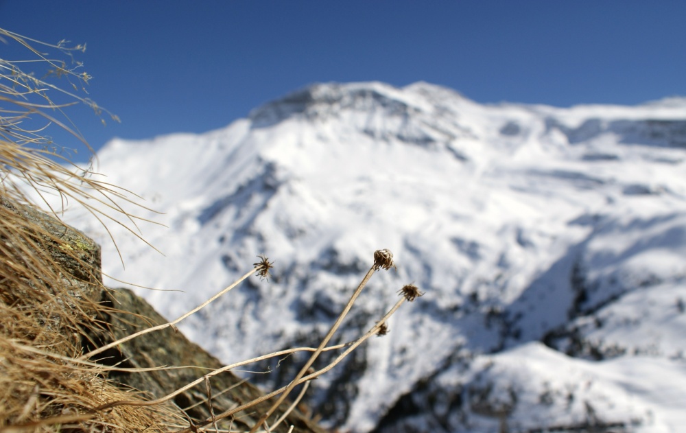 Hier haben wir es überwintert