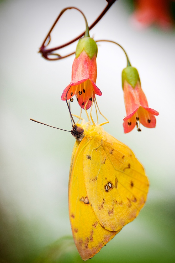 empfindliche Gleichgewicht