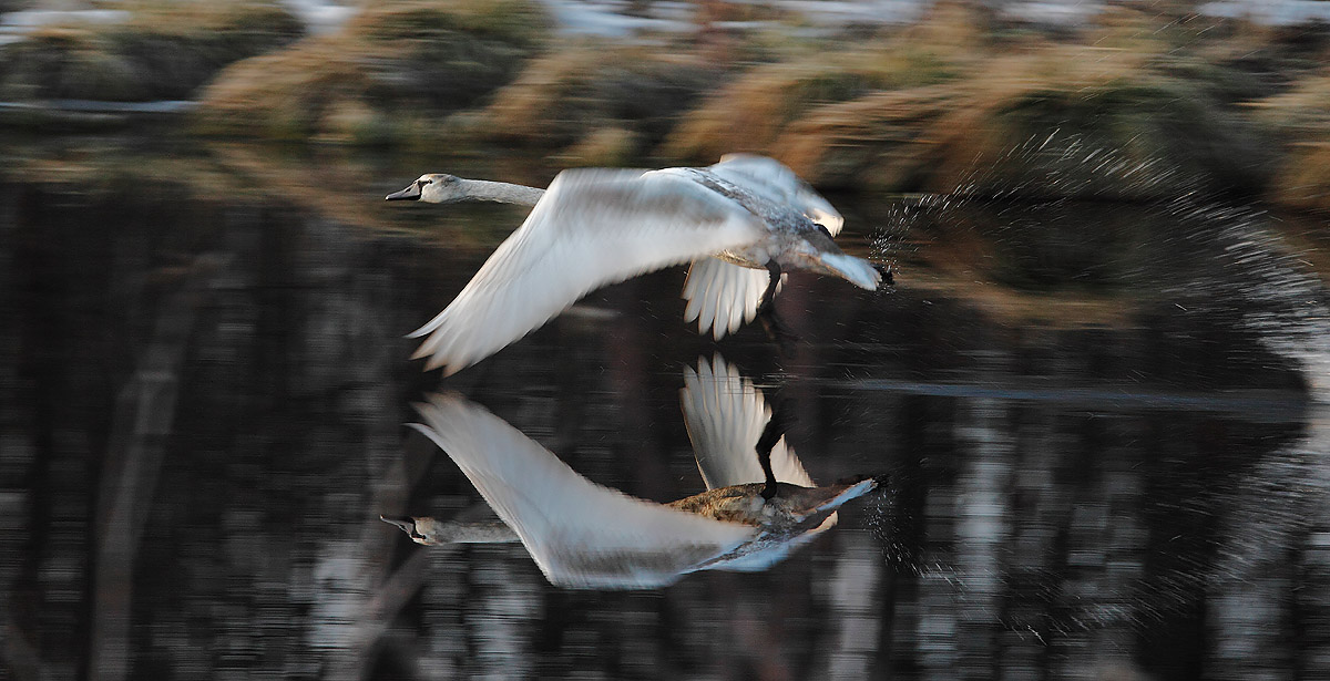 Not Gonna Get Us ...