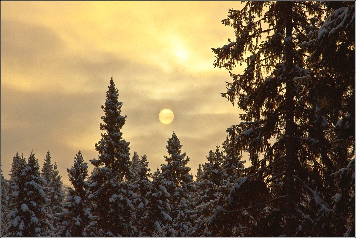 die Sonne hinter den Wolken ...