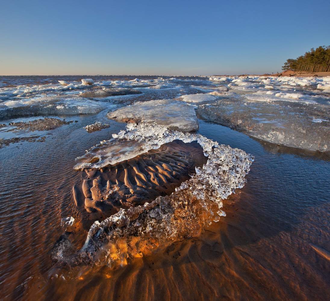 Der Frühling kommt, um Stoffe