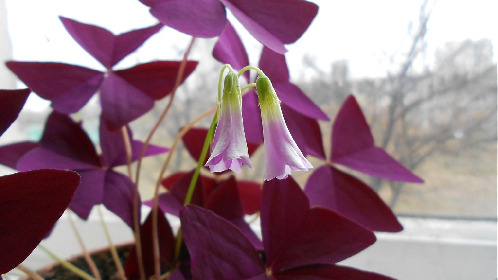 und in unserem Eingangsbereich Frühling :)