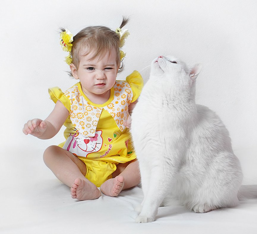 "Я очень страшный серый Волк"